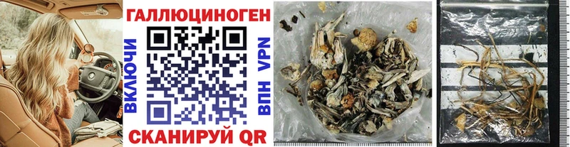 Псилоцибиновые грибы MAGIC MUSHROOMS  Купить закладки  Киселёвск 
